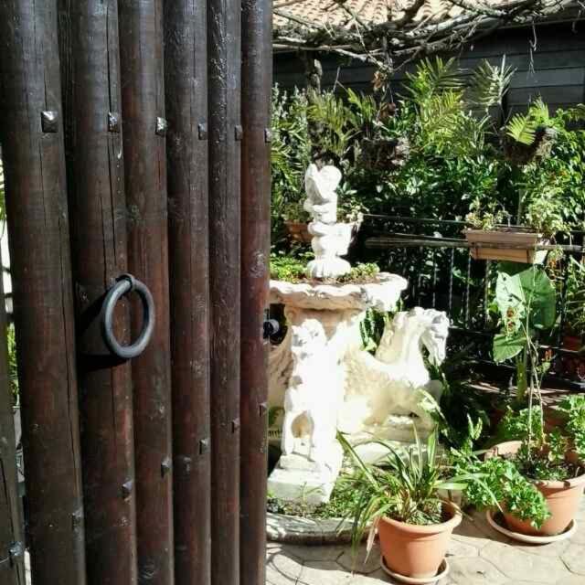 Cabanas Valle Verde Moya  ภายนอก รูปภาพ