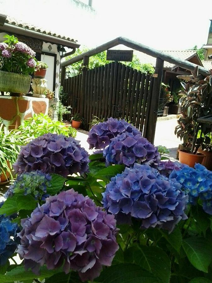 Cabanas Valle Verde Moya  ภายนอก รูปภาพ